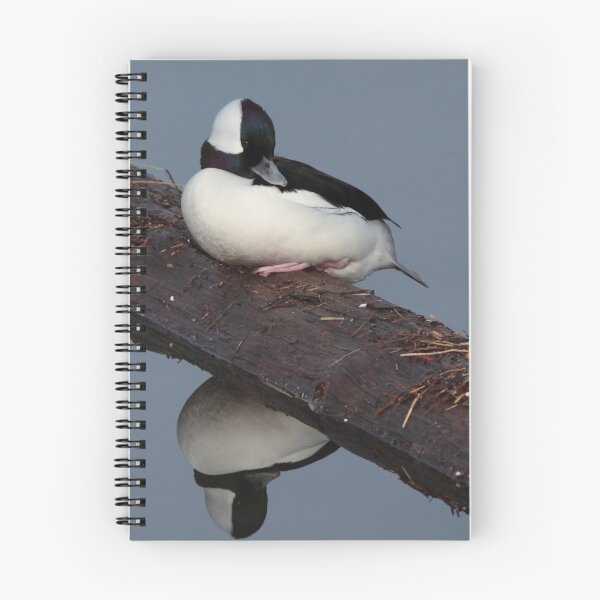 Item preview, Male Bufflehead designed and sold by SparrowImages.