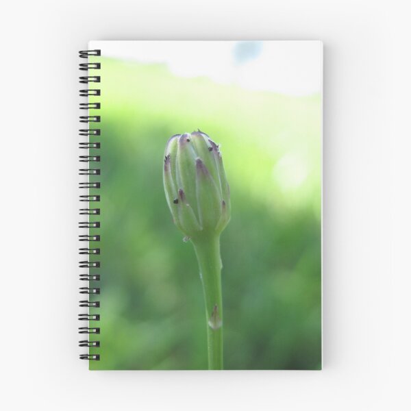 Item preview, Potential designed and sold by Artbutterfly.
