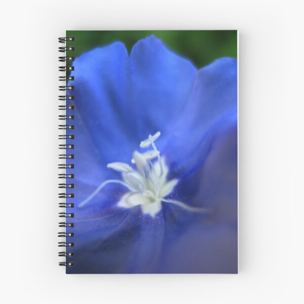 Item preview, A softer kind of blue designed and sold by Artbutterfly.