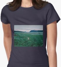 The Twelve Ducks - 12 Villender Women's Fitted T-Shirt