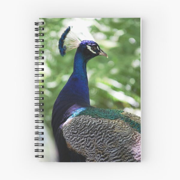 Item preview, imPosing Peacock designed and sold by Jenni Greene.