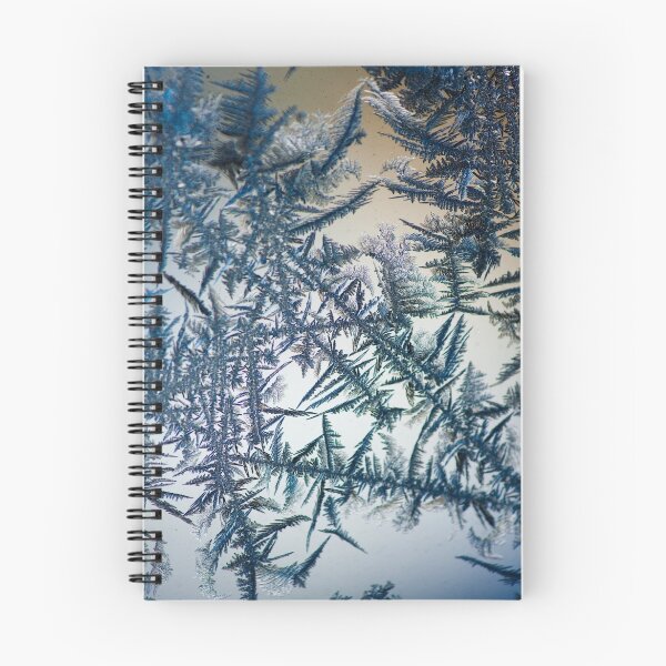Item preview, OnePhotoPerDay series: 025 by L. designed and sold by C. & L. | Photography & Artworks.