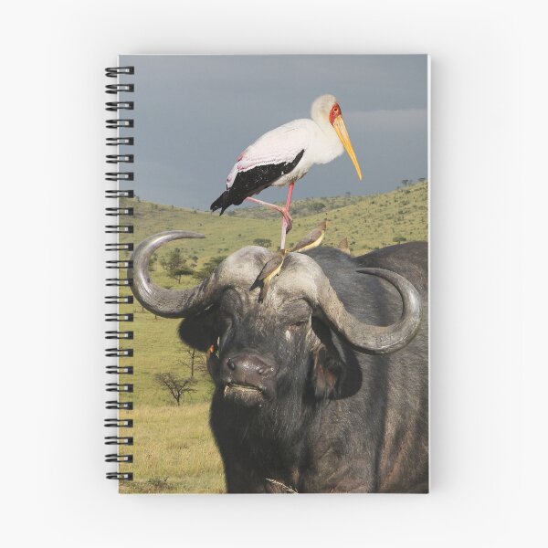 Item preview, CAPE BUFFALO - KENYA designed and sold by Michael Sheridan.
