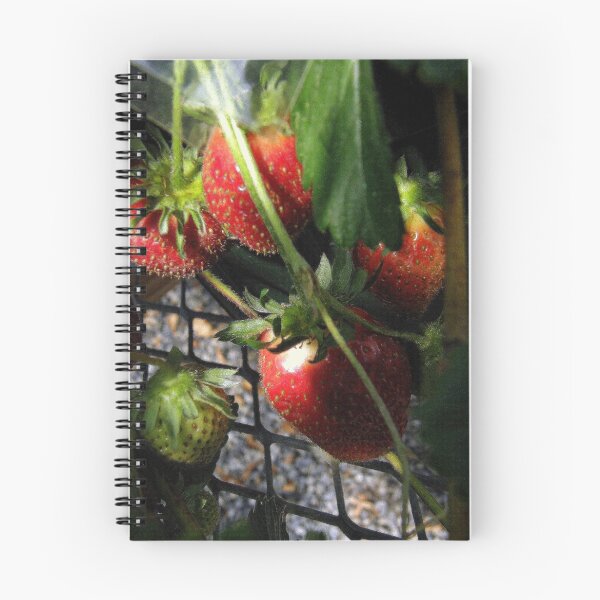 Item preview, Strawberries designed and sold by Len Bomba.