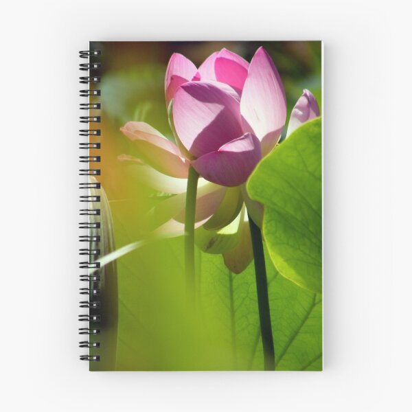 Item preview, Lotus on a sunny afternoon designed and sold by Kablwerk.