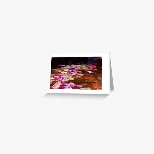 pedals in the water Greeting Card