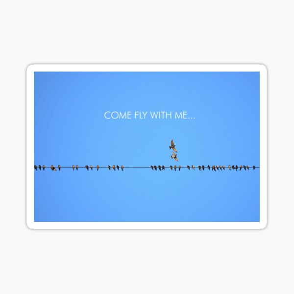 Come Fly With Me... Sticker