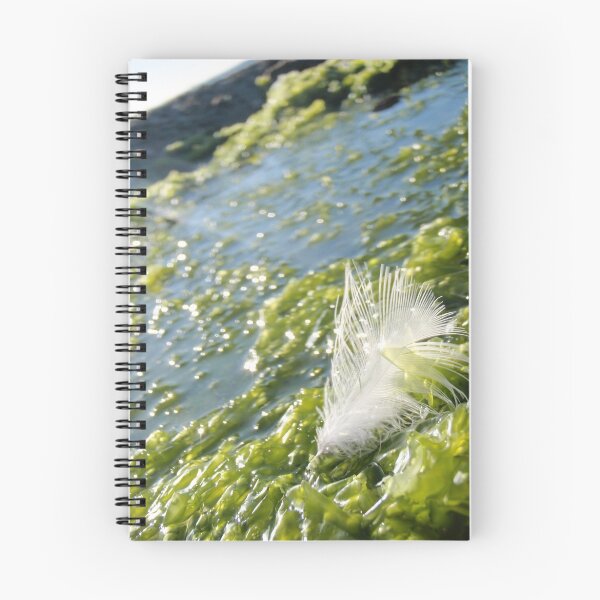 Item preview, Contrast with Texture - Green Point Rock Pool designed and sold by SarahLucy.