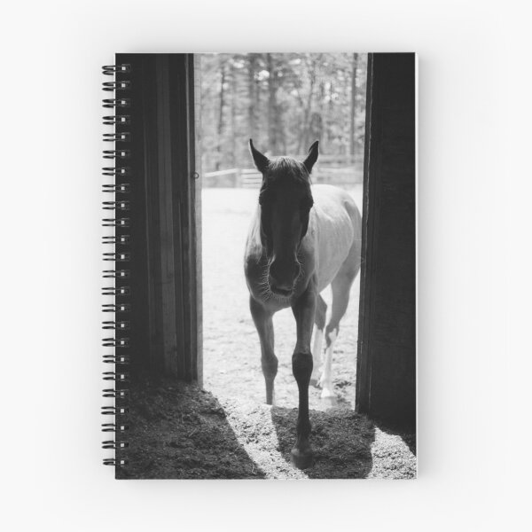 Artikelvorschau, Mysterious Horse entworfen und verkauft von Beata Bernina.