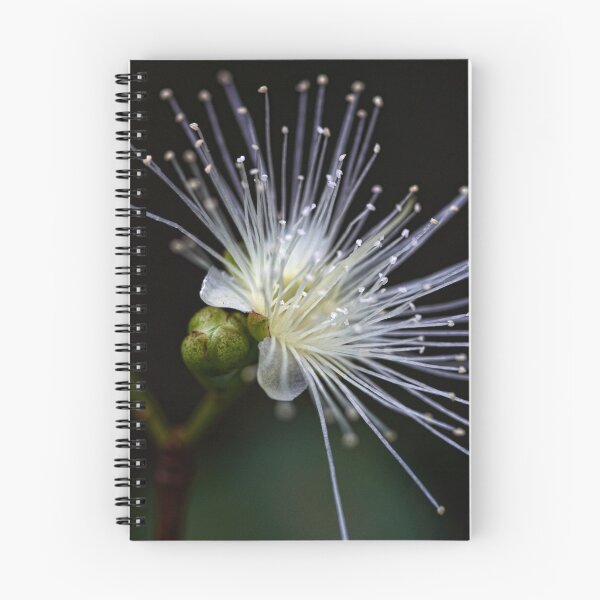Item preview, Lilly Pilly designed and sold by Dianne English.