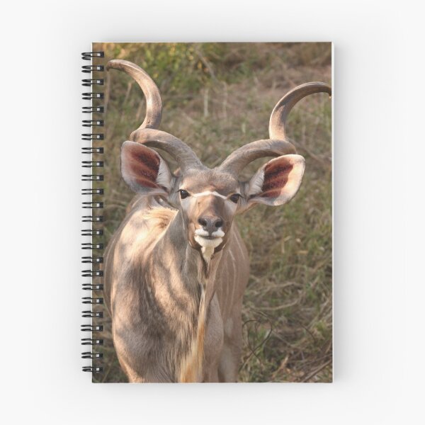 Item preview, Kudu designed and sold by Jo McGowan.