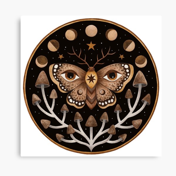 Forest visions Canvas Print