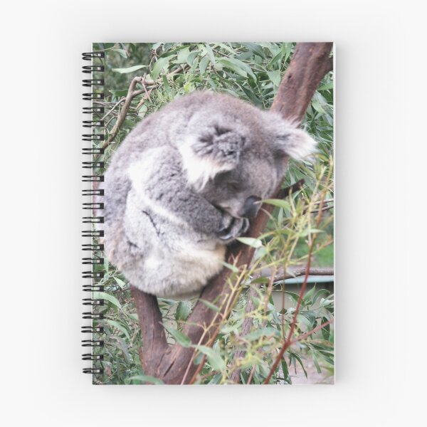 Item preview, Kozy Koala designed and sold by Bob Hardy.