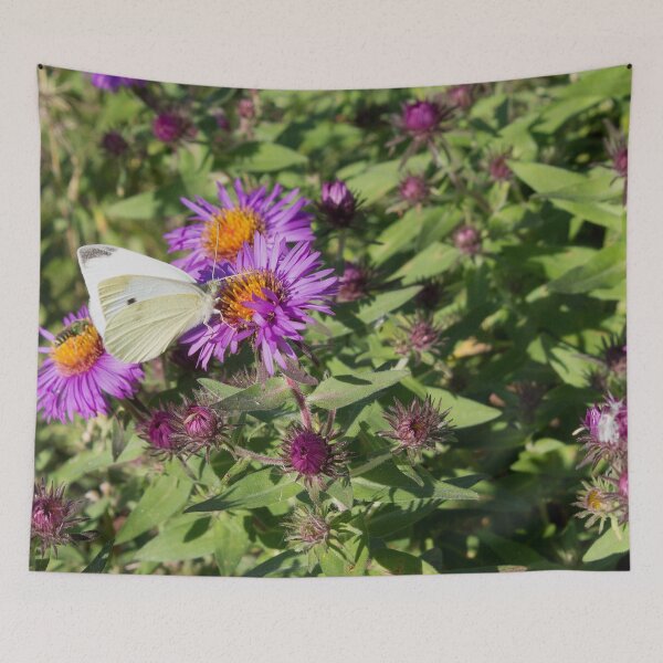 Item preview, Cabbage Butterfly on Purple Asters designed and sold by Susie Kramer.