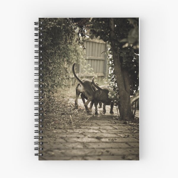 Item preview, The Explorers designed and sold by Bec  Brindley.