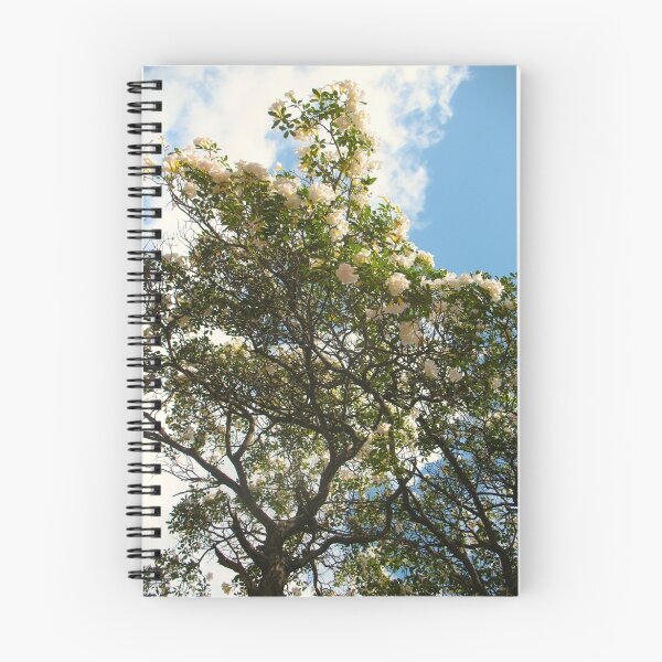 Item preview, Blossoming White designed and sold by MarianBendeth.