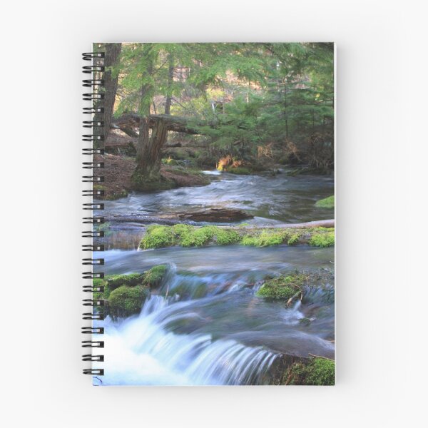 Aperçu de l'œuvre Jack Spring créée et vendue par WaterInMotion.
