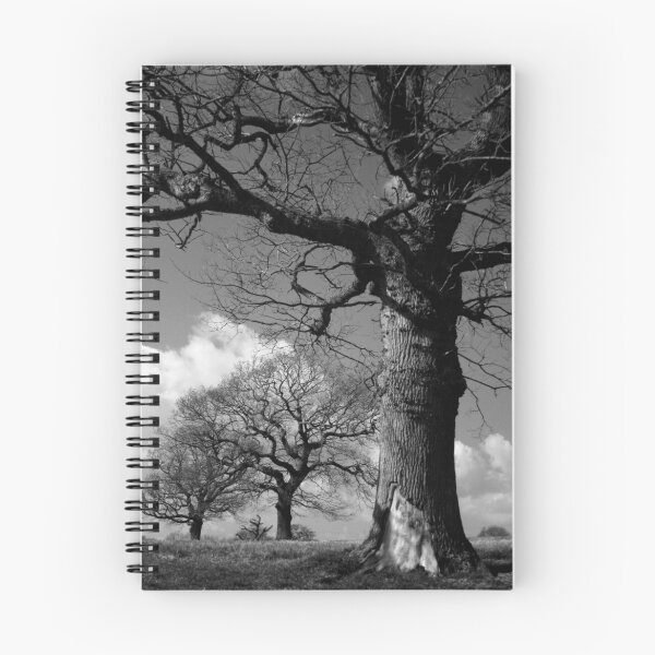 Artikelvorschau, Marching Trees entworfen und verkauft von Andy Mays.