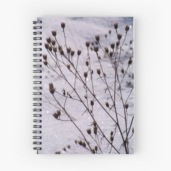 Aperçu de l'œuvre Winter in the Catskills créée et vendue par Dandelion Dilluvio.
