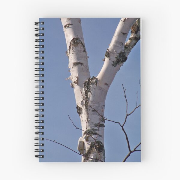 Item preview, Grey Birch designed and sold by Dandelion Dilluvio.