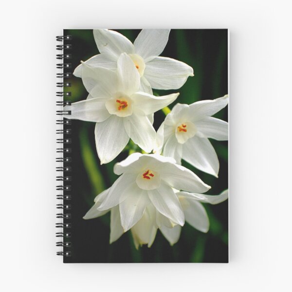 Item preview, A Gathering of Jonquils designed and sold by jayneeldred.