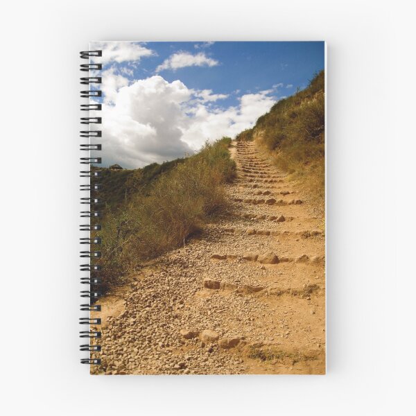 Item preview, One Step at a Time designed and sold by Valerie Rosen Photography.