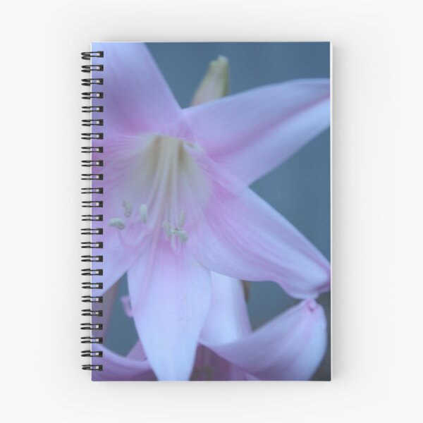 Artikelvorschau, Flower. entworfen und verkauft von Naylan.