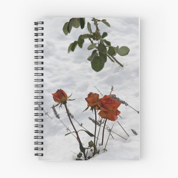 Item preview, Roses and Lavender designed and sold by Craig Goldsmith.