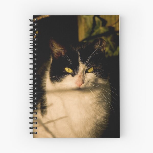 Item preview, cat designed and sold by Jon Lees.