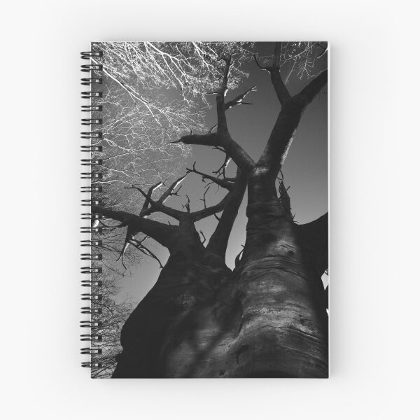 Aperçu de l'œuvre Winter Limbs créée et vendue par Eric Finster.