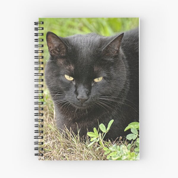 Item preview, Beware the Mouser!!! - Ottawa, Ontario designed and sold by Tracey  Dryka.