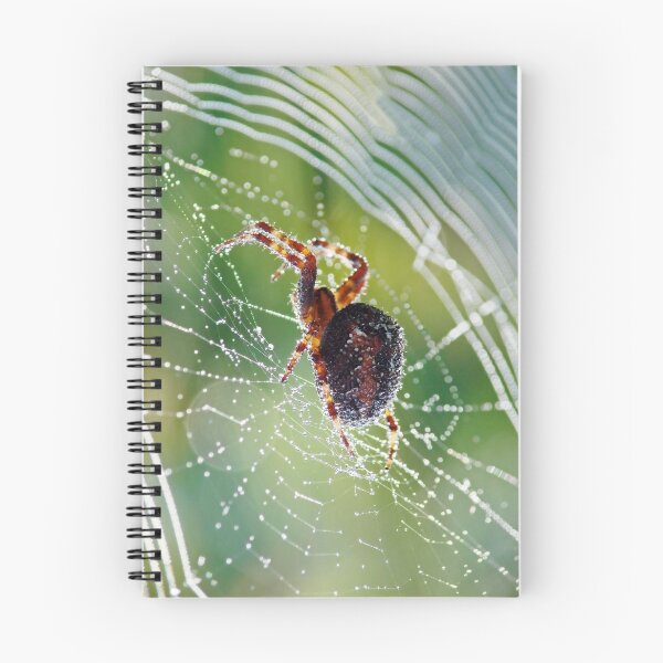 Item preview, Web Spinner designed and sold by Curtis  Sheppard.