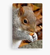 Mine Canvas Print