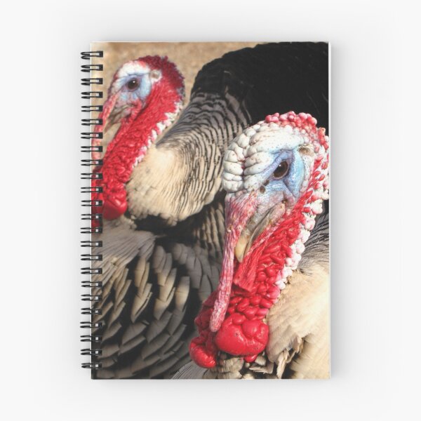 Item preview, Narragansett Turkeys designed and sold by Luck of the Shutter.