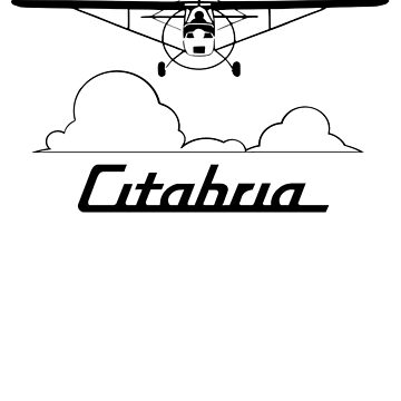 Artwork thumbnail, Citabria Clouds Head-On by cranha