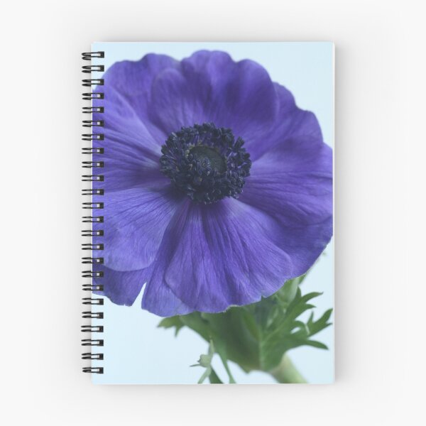 Item preview, blue anemone designed and sold by OldaSimek.