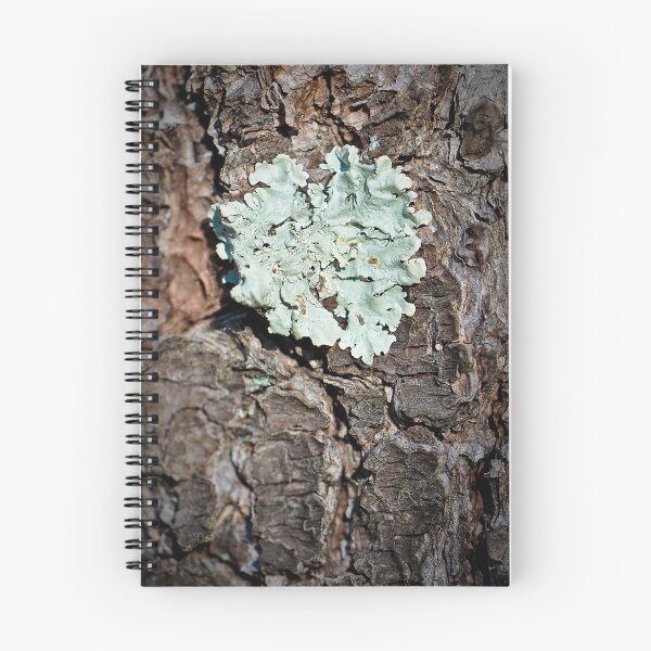 Item preview, Nature's Valentine designed and sold by helmetheads.
