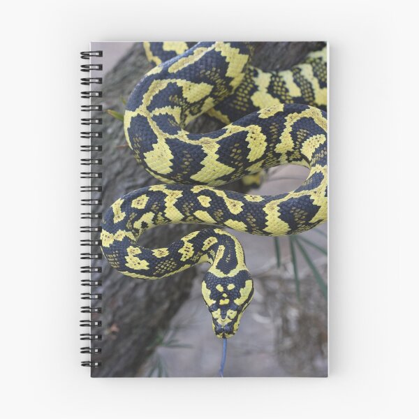 Item preview, Jungle Python designed and sold by Steve Bullock.