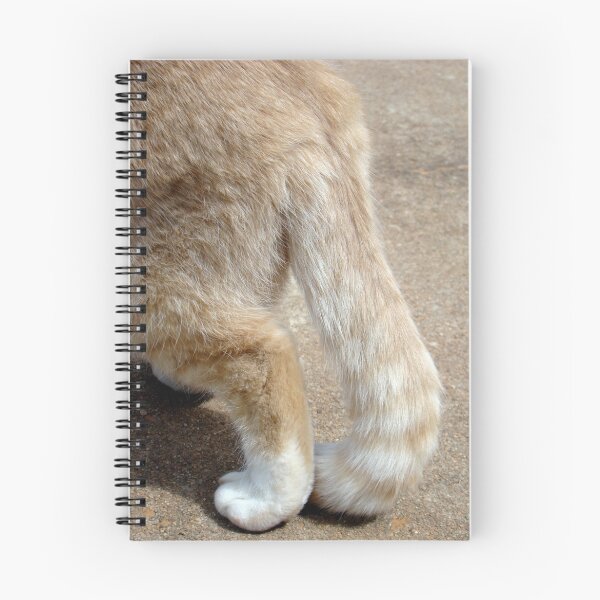 Item preview, hindsight designed and sold by Jan Stead JEMproductions.