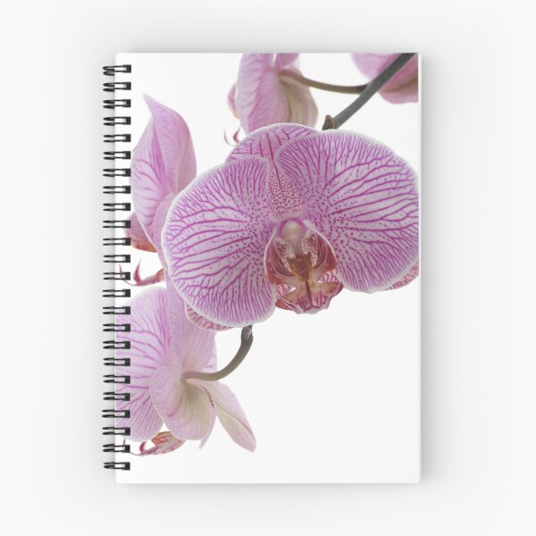 Item preview, Orchids designed and sold by OldaSimek.