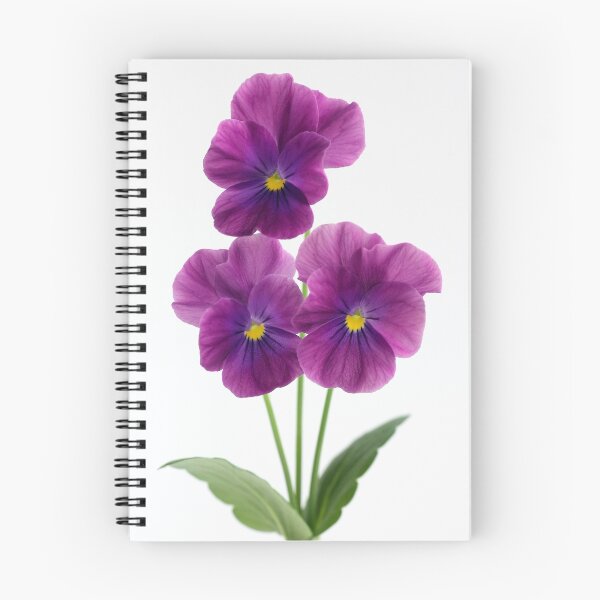 Item preview, three violet pansies designed and sold by OldaSimek.