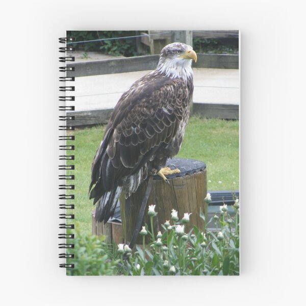 Item preview, Eagle designed and sold by amylw1.