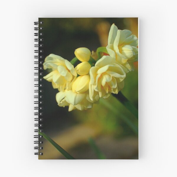 Item preview, Creamy Jonquils designed and sold by jayneeldred.