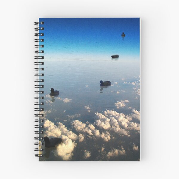 Item preview, birds floating in the sky designed and sold by Mark Malinowski.