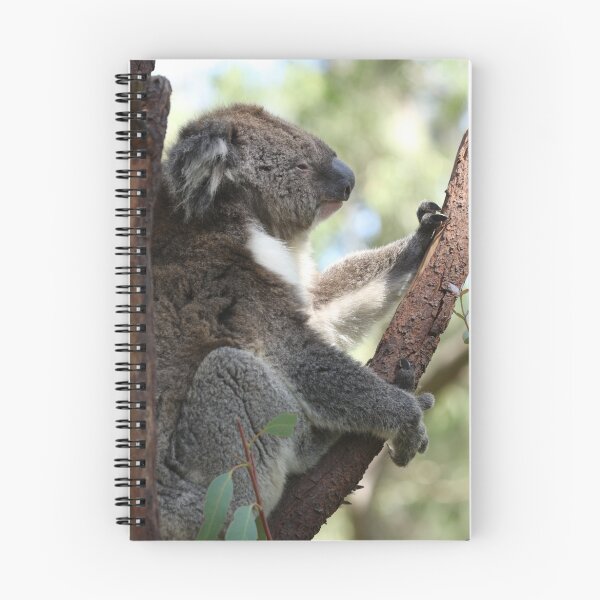 Item preview, Koala designed and sold by evenflow.