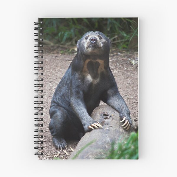 Artikelvorschau, Malayan Sun Bear entworfen und verkauft von evenflow.