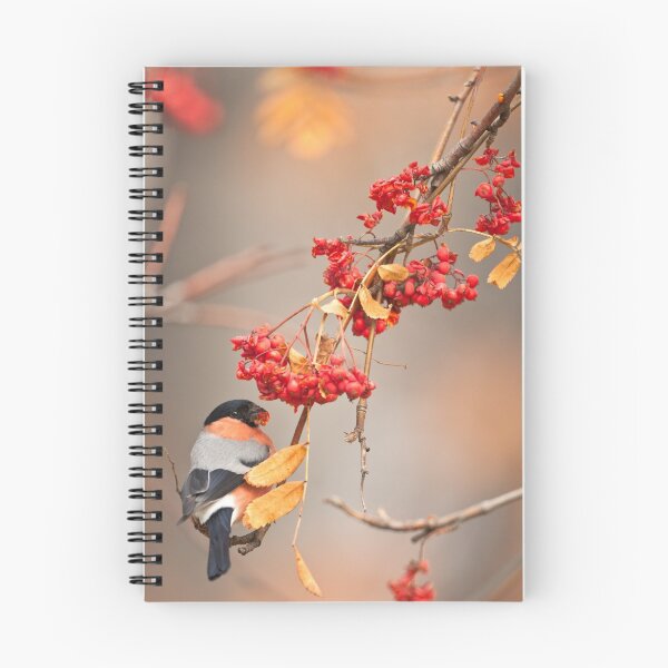 Item preview, Bullfinch (Pyrrhula Pyrrhula) designed and sold by BogdanBoev.