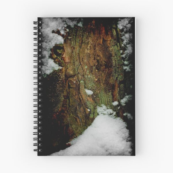 Aperçu de l'œuvre Snow Stump_1 créée et vendue par Chip  Ford.