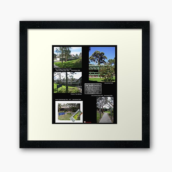 Framed Art Print