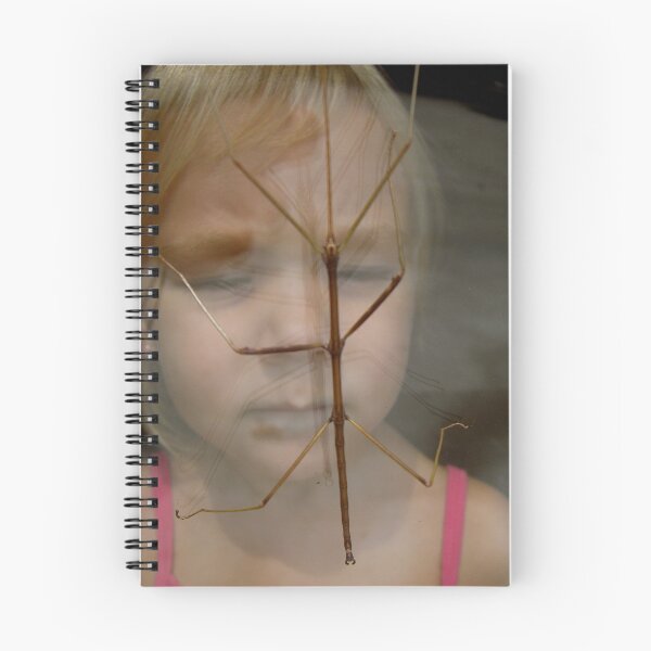 Item preview, stick bug designed and sold by Angie11.